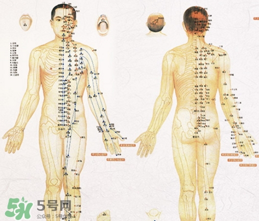 貼三伏貼可以吃西瓜嗎？貼三伏貼吃西瓜有什么害處