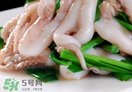 八爪魚是魷魚嗎？八爪魚是章魚嗎