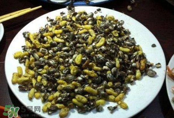 洋辣子是什么？洋辣子能吃嗎？