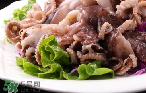 八爪魚是魷魚嗎？八爪魚是章魚嗎