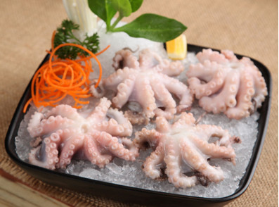 八爪魚是海鮮嗎？八爪魚是發(fā)物嗎