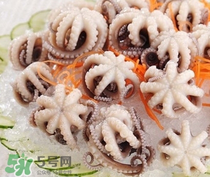 八爪魚為什么有大米？八爪魚為什么有墨汁