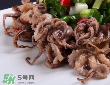 八爪魚怎么做好吃？八爪魚怎么保存