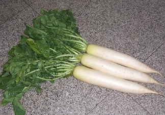 頭伏蘿卜二伏菜是什么意思？頭伏種什么菜？