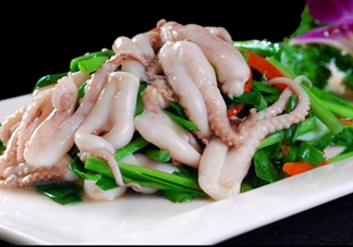 八爪魚是魷魚嗎？八爪魚是章魚嗎