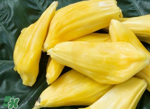 木菠蘿買來(lái)怎么吃？木菠蘿吃多了會(huì)怎樣？