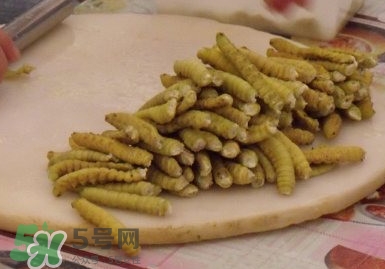 豆丹做菜前怎么處理干凈？豆丹怎么養(yǎng)殖