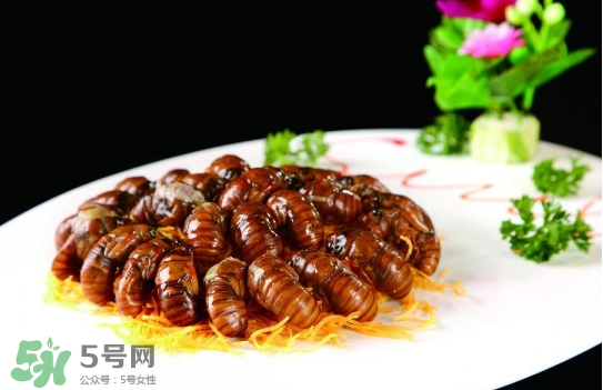 知了猴孕婦可以吃嗎？孕婦能吃知了猴嗎？