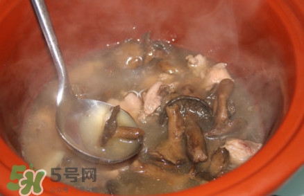 重陽菌孕婦可以吃嗎？重陽菌怎樣保存才新鮮