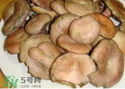 樅樹菌孕婦可以吃嗎？孕婦能吃樅樹菌嗎