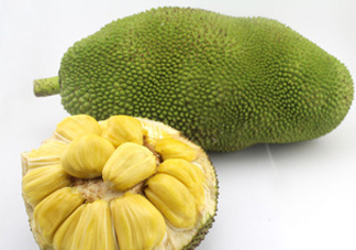 木菠蘿買來怎么吃？木菠蘿吃多了會(huì)怎樣？
