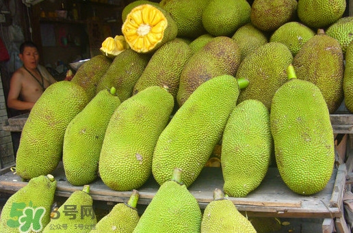 木菠蘿買來(lái)怎么吃？木菠蘿吃多了會(huì)怎樣？