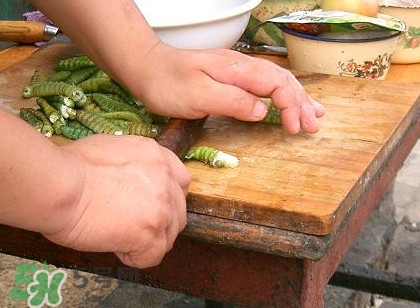 豆丹做菜前怎么處理干凈？豆丹怎么養(yǎng)殖