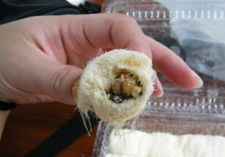 龍須糖是哪里的特產(chǎn)？龍須糖為什么叫龍須糖