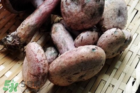重陽(yáng)菌怎么做好吃？吃重陽(yáng)菌有什么好處
