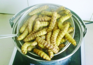豆丹做菜前怎么處理干凈？豆丹怎么養(yǎng)殖