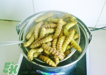豆丹做菜前怎么處理干凈？豆丹怎么養(yǎng)殖