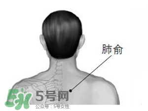 三伏貼能治過敏性鼻炎嗎？三伏貼治過敏性鼻炎貼哪里？