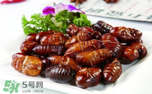 蟬蛹可以人工養(yǎng)殖嗎？蟬蛹的養(yǎng)殖方法