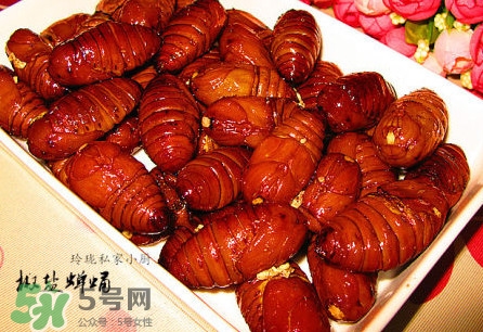 蟬蛹可以保存多長時(shí)間？蟬蛹冰凍起來能保存多久