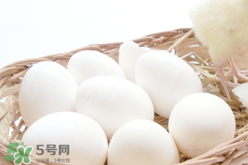 貼三伏貼可以吃雞蛋嗎？貼三伏貼能不能吃雞蛋