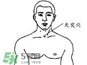 三伏貼能治過敏性鼻炎嗎？三伏貼治過敏性鼻炎貼哪里？