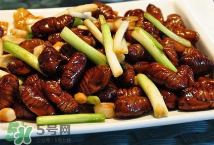 孕婦可以吃蟬蛹嗎？懷孕吃蟬蛹有沒有副作用