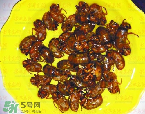 知了猴能淹死嗎？知了猴哪個(gè)部位不能吃？