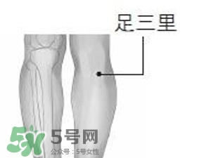 三伏貼能治過敏性鼻炎嗎？三伏貼治過敏性鼻炎貼哪里？