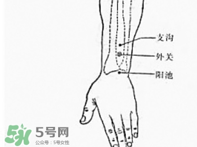 三伏貼能治過敏性鼻炎嗎？三伏貼治過敏性鼻炎貼哪里？
