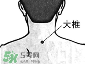 三伏貼能治過敏性鼻炎嗎？三伏貼治過敏性鼻炎貼哪里？