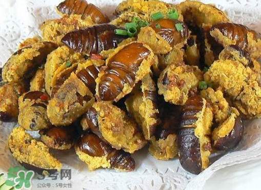 水煮蟬蛹怎么做？蟬蛹煮多久可以熟？