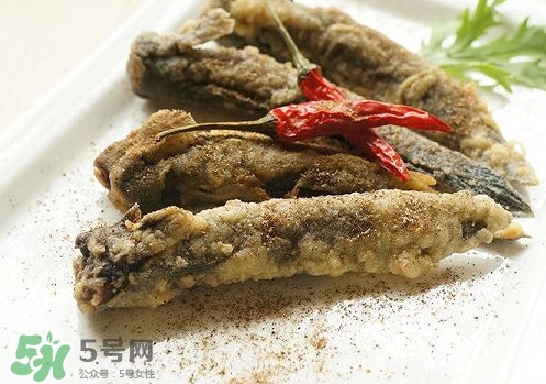 彈涂魚是兩棲動(dòng)物嗎？彈涂魚營養(yǎng)價(jià)值有哪些