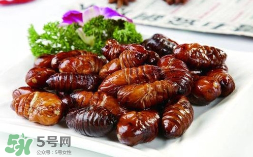 蟬蛹里面黑色的能吃嗎？蟬蛹是怎么形成的