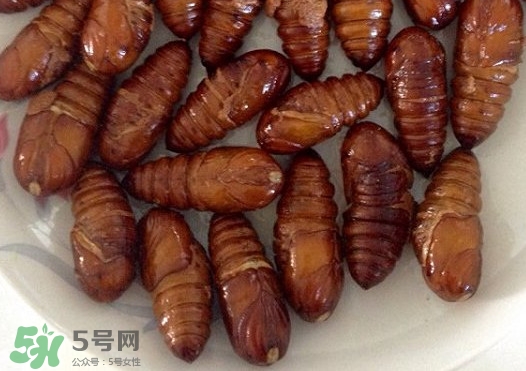 蟬蛹吃什么部位？蟬蛹都有哪些營養(yǎng)價(jià)值