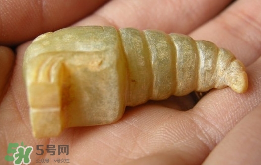 蟬蛹能吃嗎？蟬蛹怎么做好吃