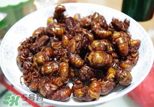 蟬蛹什么人不能吃？蟬蛹不能和什么一起吃
