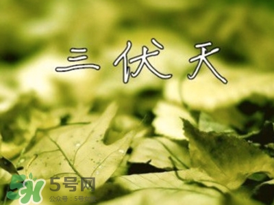 三伏天怎么坐月子？三伏天坐月子要注意什么？