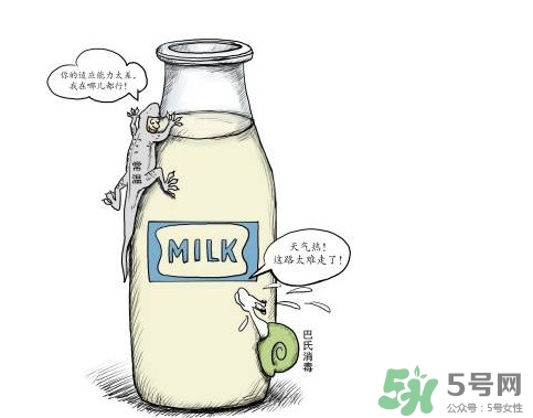 巴氏奶可以加熱嗎？巴氏奶常溫能放多久