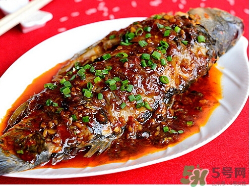 三伏灸可以吃魚(yú)嗎？三伏灸可以吃什么魚(yú)？