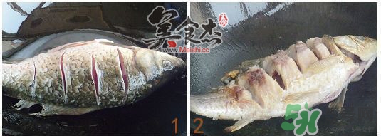 三伏灸可以吃魚(yú)嗎？三伏灸可以吃什么魚(yú)？
