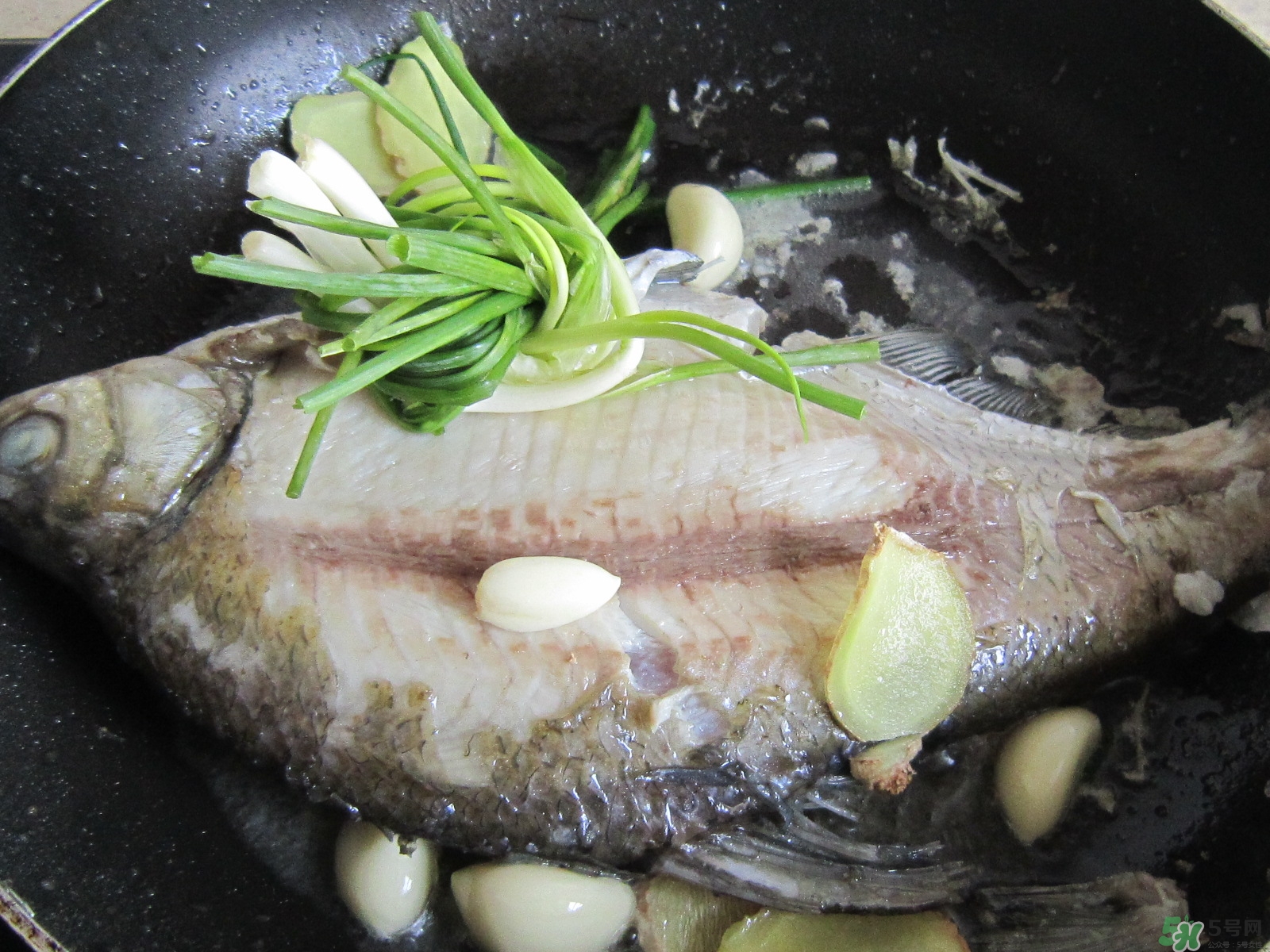 三伏灸可以吃魚(yú)嗎？三伏灸可以吃什么魚(yú)？