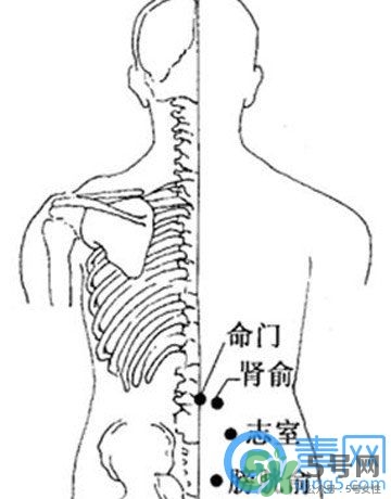 三伏灸可以治腰腿痛嗎？三伏灸治腰腿痛灸哪里》