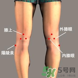 三伏灸可以治腰腿痛嗎？三伏灸治腰腿痛灸哪里》