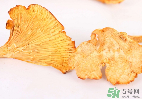 雞油菌多少錢一斤？雞油菌和雞樅菌有什么區(qū)別