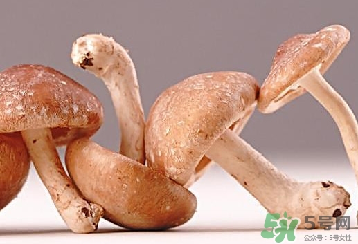 什么病不能吃香菇？香菇不能和什么一起吃