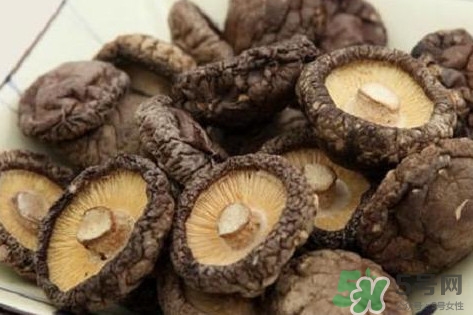 香菇是蘑菇嗎？香菇和蘑菇有什么區(qū)別