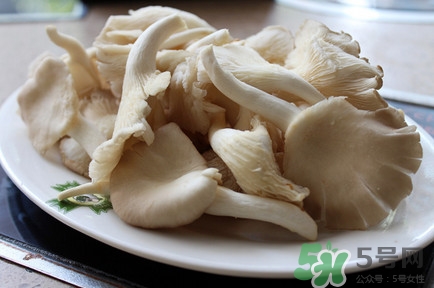 平菇怎么吃最有營養(yǎng)？平菇長白毛還能吃嗎