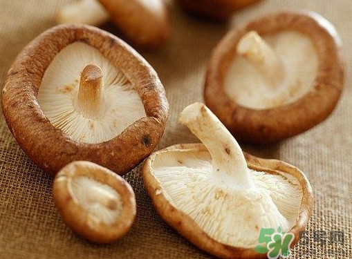 買香菇怎么挑選？干香菇怎么挑選？