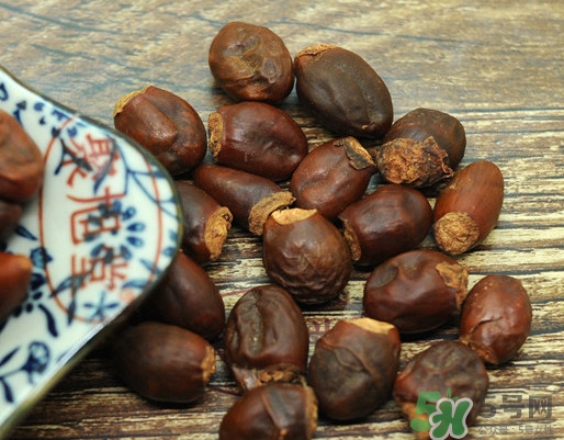 龍眼核能種嗎？龍眼核怎么種盆栽